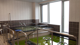 通所リハビリテーション