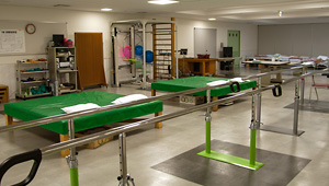 理学療法（PT：Physical Therapist）